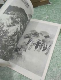 石鲁绘画书法（人民美术出版社1986年一版一印）