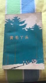 黄毛丫头：乡村著 人民文学出版社 馆藏