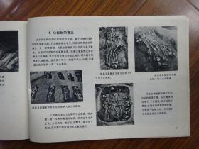 中国原始社会参考图集
