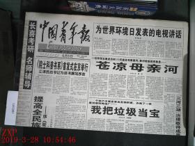 中国青年报 2000.6.5