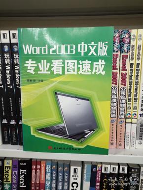 Word2003中文版专业看图速成