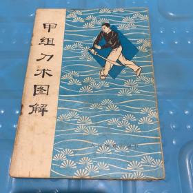 甲组刀术图解