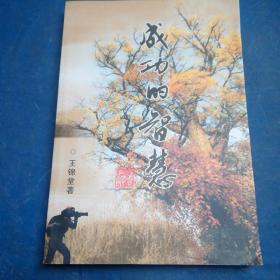 成功的智慧(王錦堂詩(shī)詞作品集)
王錦堂/著