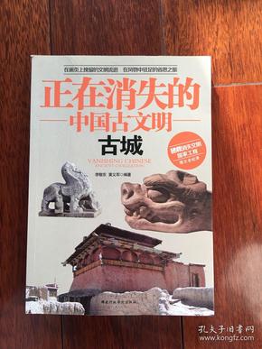 正在消失的中国古文明：古城 一版一印 ktg8下1