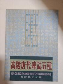 高陵唐代碑志五种