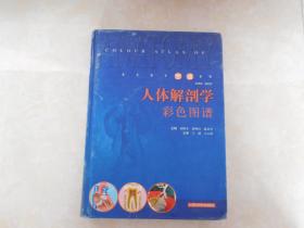 医学教学图谱系列——人体解剖彩色图谱