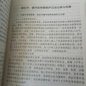 中国知识产权刑事保护研究（理论·实务）