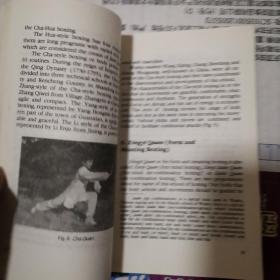 Essentials Of Chinese Wushu 中国武术概要 英文版