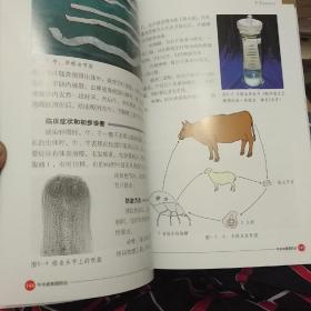 牛羊病看图防治(藏文版)