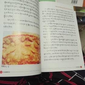 牛羊病看图防治(藏文版)