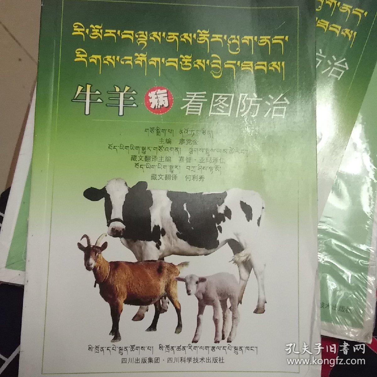 牛羊病看图防治(藏文版)