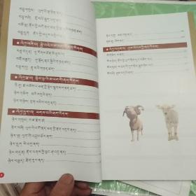 牛羊病看图防治(藏文版)