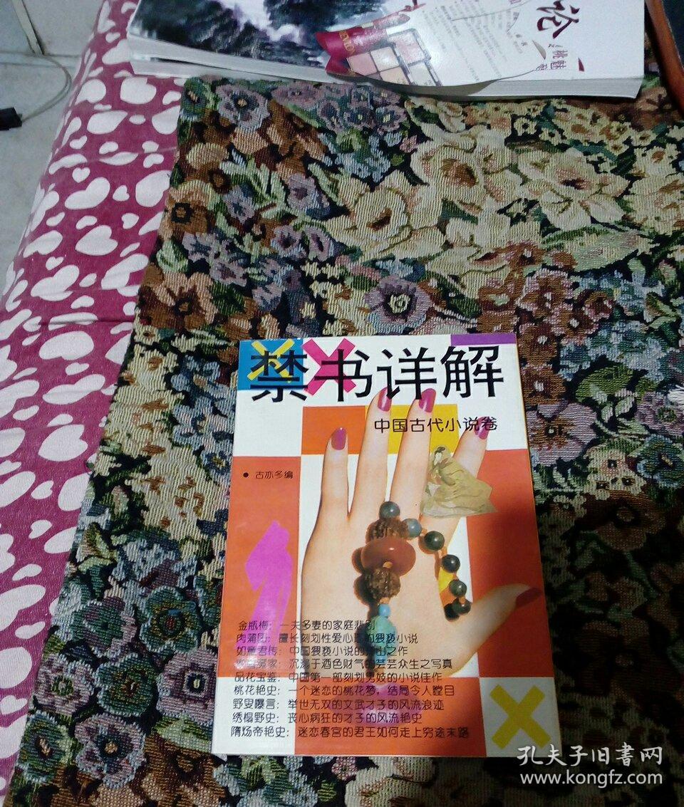 禁书详解 中国古代小说卷