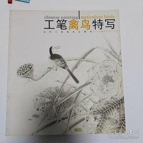 当代工笔画技法解析：工笔禽鸟特写