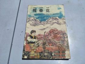 报春花 义务教育六年制小学语文第八册自读课本