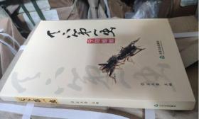天下第一虫 宁阳蟋蟀