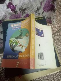 圖解微型盆景栽培.3.落霜紅·山蘋果·梅花·櫻花