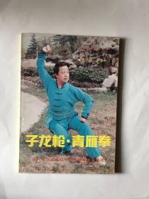 子龙枪 青雁拳