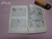 P2085    给初学画者的信   全一册  人民美术出版社  1959年8月  一版一印  39000册