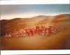 【316596】【摄影作品专场】参赛作品照片 沙漠之舞 自然风光类，拍摄时间2010年前后
