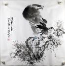 张华， 保真原创 纯手绘国画《鹰》书画收藏<BH:1526Z>