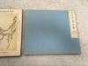1953年德文版初版《十竹斋书画谱》带外函套，品好，内有16张特制美工纸画