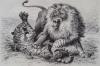 1881年木口木刻版画《兽王对决》41.5×27厘米