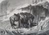 1881年木口木刻版画《风雪中的哥萨克坐骑》41.5×27厘米