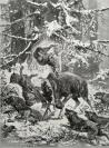 1879年木口木刻版画《战斗的麋鹿》41.5×27.5厘米