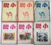 ZD：民国文学期刊  《小说月刊》一组6册合拍 第三卷第1-5期 第四卷第6期 1949-1951年出版 封面装帧精美 大32开平装本！