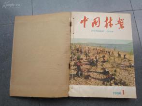 罕见大**初期《中国林业》【1966年第1——9期】合订9期装一册、内有停刊号-尊F-1（7788）