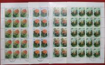 新中国邮票---君子兰邮票大版，4枚全。共20套