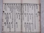 光绪稀见文字古籍* 精美写刻：【字学举隅】原装不分卷一册全,清著名学者。宁乡县人黄本骥和广西临桂(今桂林市)人，是清代音韵学家、文字学家、文学家、目录学家龙启瑞撰，全文皆当时名士手书镌版,精白纸超大开本，纸白墨黑，刻印精良！开本宏阔！文人 玩赏之本，手写上板。珍藏级美品