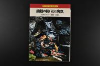 （乙2045）《锦鲤の饲い方と病气》精装1册全 彩色黑白插图 锦鲤的鉴别、饲养注意事项及疾病与治疗方法 锦鲤的品种与观赏等内容 吉田広著 永冈书店 1977年 日文原版 日本锦鲤的美妙之处就在于，随着年龄和环境水温的变化，它们身上的花纹色泽和形态也会不断变化，就像你亲手画出的特殊的水墨画一样。