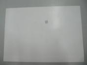 宣传画一张  毛泽东和林在一起  尺寸26/18.5厘米 033