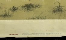 1957年 上海画片出版社一版一印 上官百达作 《寒梅聚禽图》老宣传画一张（尺寸：77*53cm）HXTX301258
