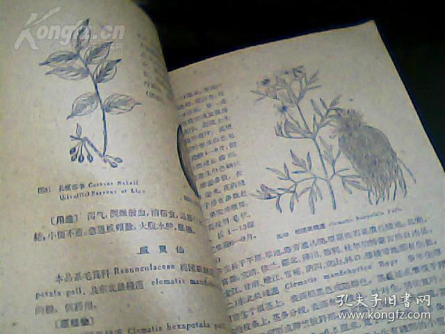 【正版中医方籍】一黑龙江中药（第二辑）——第二辑载一百五十三种。每药介绍其常用名、别名、形态、分布、采制、用途、药用部位等，并配有插图。 黑龙江省祖国医药研究所编，黑龙江人民出版社1961年出版 [B]
