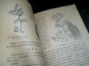 【正版中医方籍】一黑龙江中药（第二辑）——第二辑载一百五十三种。每药介绍其常用名、别名、形态、分布、采制、用途、药用部位等，并配有插图。 黑龙江省祖国医药研究所编，黑龙江人民出版社1961年出版 [B]