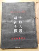 民国19年【活动人体解剖全图】汪于冈  著。生理学会印行，大16开，精装本