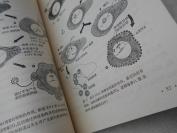 **中医图书精品《★与肿瘤病作斗争》中国医学科学院肿瘤研究所，病因及癌变过程，预防，诊断，治疗，子宫颈癌，食道癌，胃癌，肺癌，鼻咽癌，乳腺癌，肛门癌，直肠癌，结肠癌，口腔癌，皮肤恶性肿瘤，恶性淋巴癌，原发性肝癌等。肿瘤病不是不治之症，预防应当重视地理因素和环境污染。