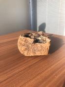 清 木胎观音像 高25cm