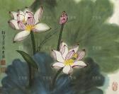 同一来源：书画家、原上海博物馆研究员 尚业煌 水墨画作品“莲花”一幅（纸本托片，约1.9平尺，钤印：尚业煌印）HXTX303993