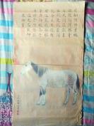 《春御马》