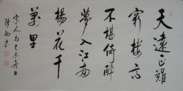 中国当代书法家陈老师.天远正难1mv.宣纸画芯,尺寸约98cm*49cm.拍卖区更多作品敬请关注.