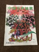 中国花卉盆景&2000年9册合拍&种植&花卉&盆景&盆栽&一册封底有缺