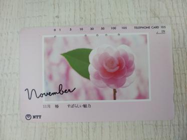 【日本电话磁卡】★11月  椿★（植物花卉图案，9.5品+）