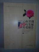 2007年云南滇剧花灯发展年度报告