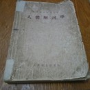 人体解剖学，大16开，1955年，A12。