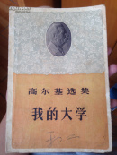 我的大学（一版一印）
