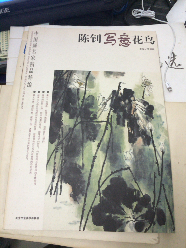 陈钊写意花鸟（8开 最好走快递）库存书